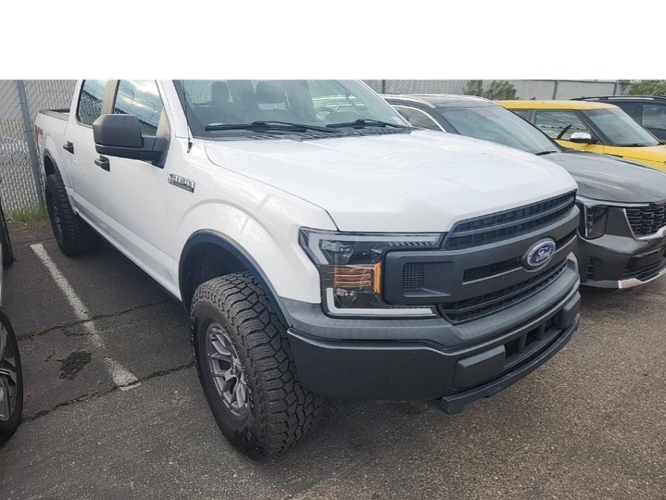 2020 Ford F-150 XL's photo